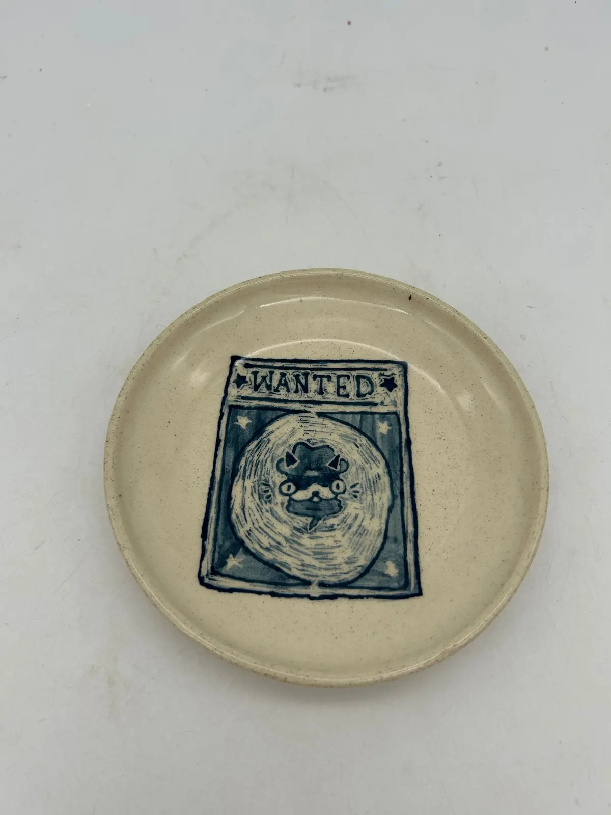 Wanted Cat Snack Plate #1 1