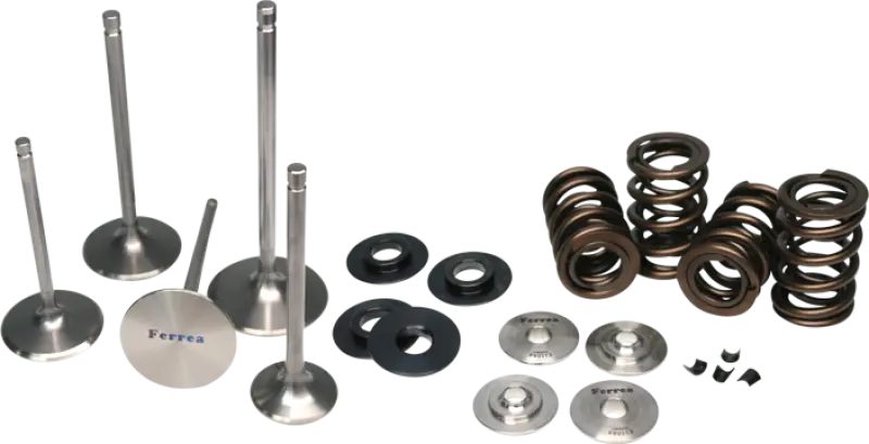 Ferrea Dual Spring Kit - 90-00 Bmw E36  - Kt4041 1
