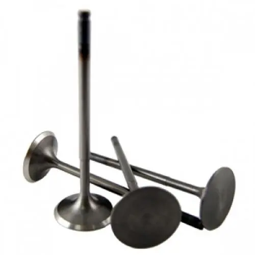 Blox Racing High Compression Intake Valve Set For Honda S2000 F20c/F22c (Set Of 8) - Bxpt-20204 1