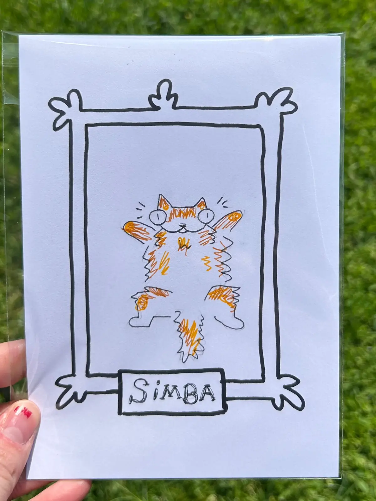 Custom Cat Drawing 1