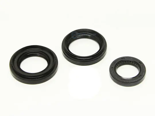 Synchrotech Seal Kit - K Series - Sk-K20 1