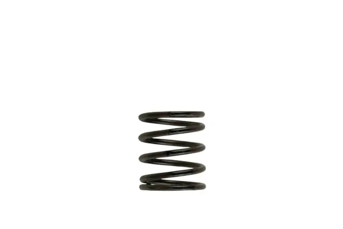 Turbosmart Gen4 Iwg/Wg38/40/45/50L 3Psi Inner Spring Â€“ Brown/Black - Ts-0505-2001 1