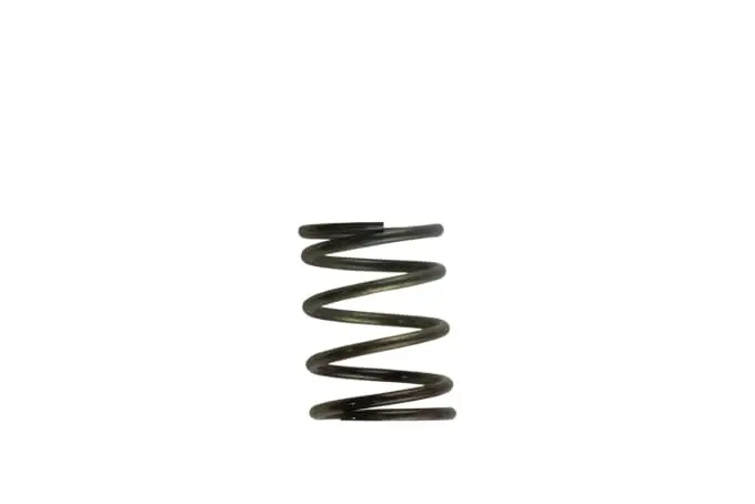 Turbosmart Gen4 Iwg Wg38/40/45/50L 5Psi Inner Spring Â€“ Brown/Grey - Ts-0505-2002 1