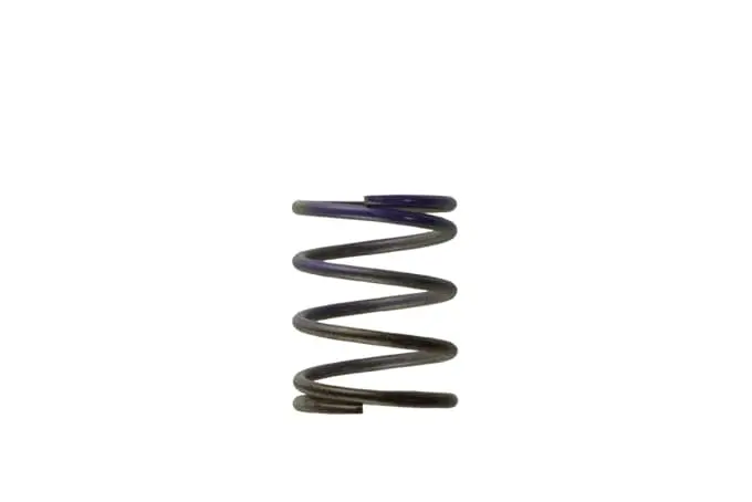 Turbosmart Gen4 Iwg Wg38/40/45/50L 7Psi Middle Spring Â€“ Brown/Purple - Ts-0505-2003 1