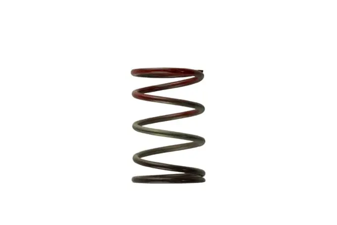 Turbosmart Gen4 Iwg Wg38/40/45/50L 11Psi Middle Spring Â€“ Brown/Red - Ts-0505-2004 1