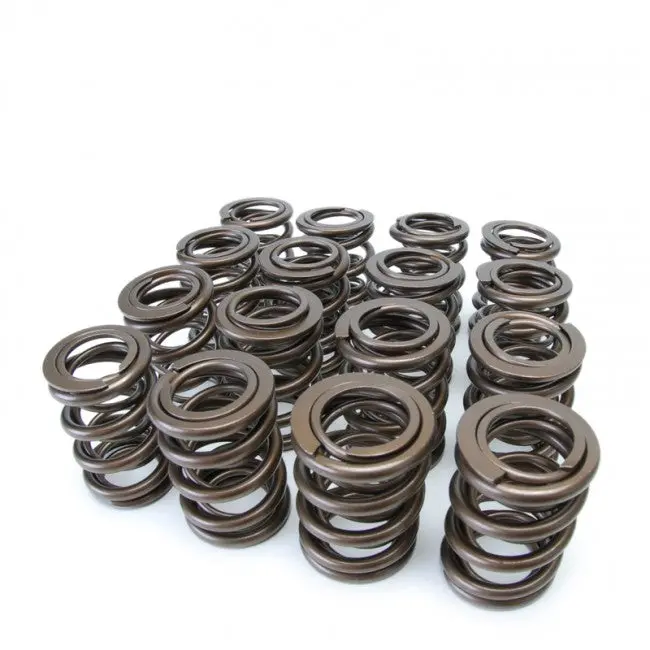 Skunk2 Alpha Series Valve Spring Set - Honda H22a Vtec - 311-05-1360 1