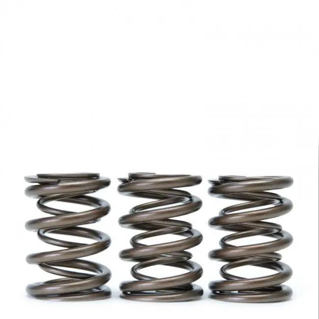 Skunk2 Alpha Series Valve Spring Set - Honda H22a Vtec - 311-05-1360 2