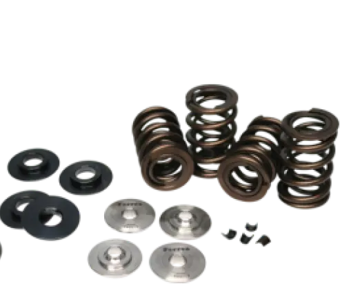 Ferrea Beehive Valve Spring Kit 80Lbs - 18-19 Ford Coyote 5.0L - Kt4050 1