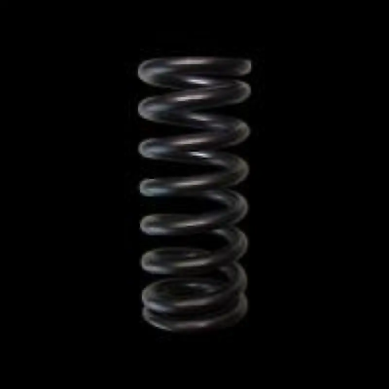 Brian Crower Single-Valve Spring Kit For Honda L15 Engine – 16-Piece Set 1